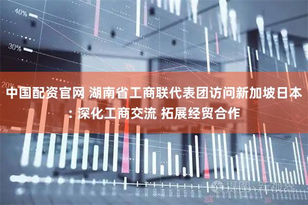 中国配资官网 湖南省工商联代表团访问新加坡日本: 深化工商交流 拓展经贸合作