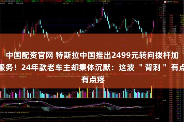 中国配资官网 特斯拉中国推出2499元转向拨杆加装服务！24年款老车主却集体沉默：这波 ＂背刺＂ 有点疼